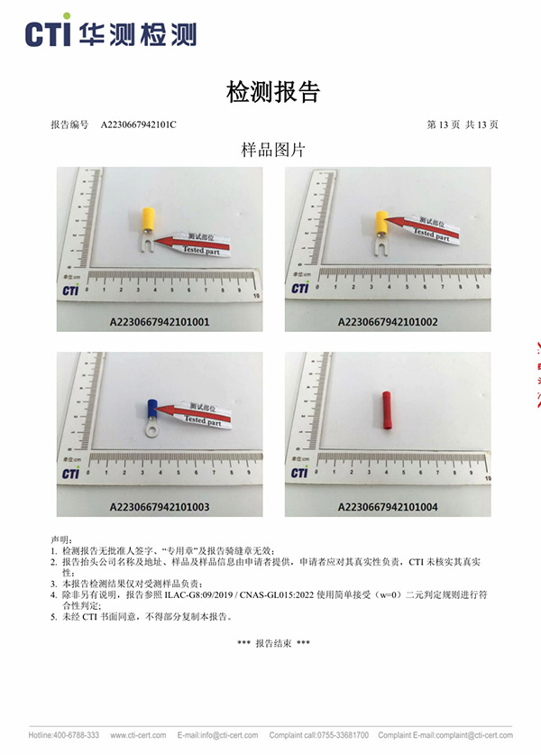 2024年REACH中文.pdf