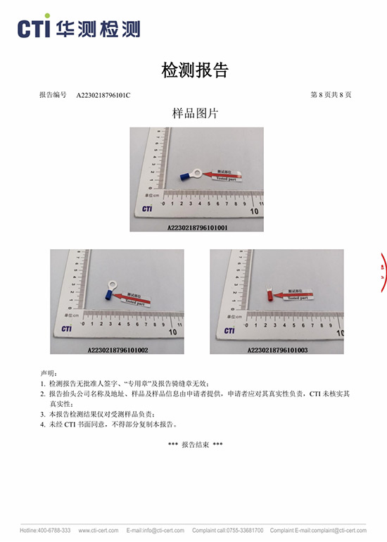 ROHS2.0十项+四项报告  中